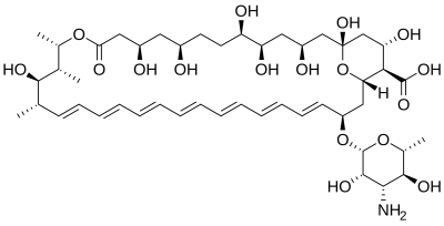 Амфотерицин B (Фунгізон, Amphotericin B)